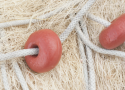 /uploads/posts/6f3b0e128526ffc7efb0bdc27a354f9e2c200e14/thumbnails/fishing net.png